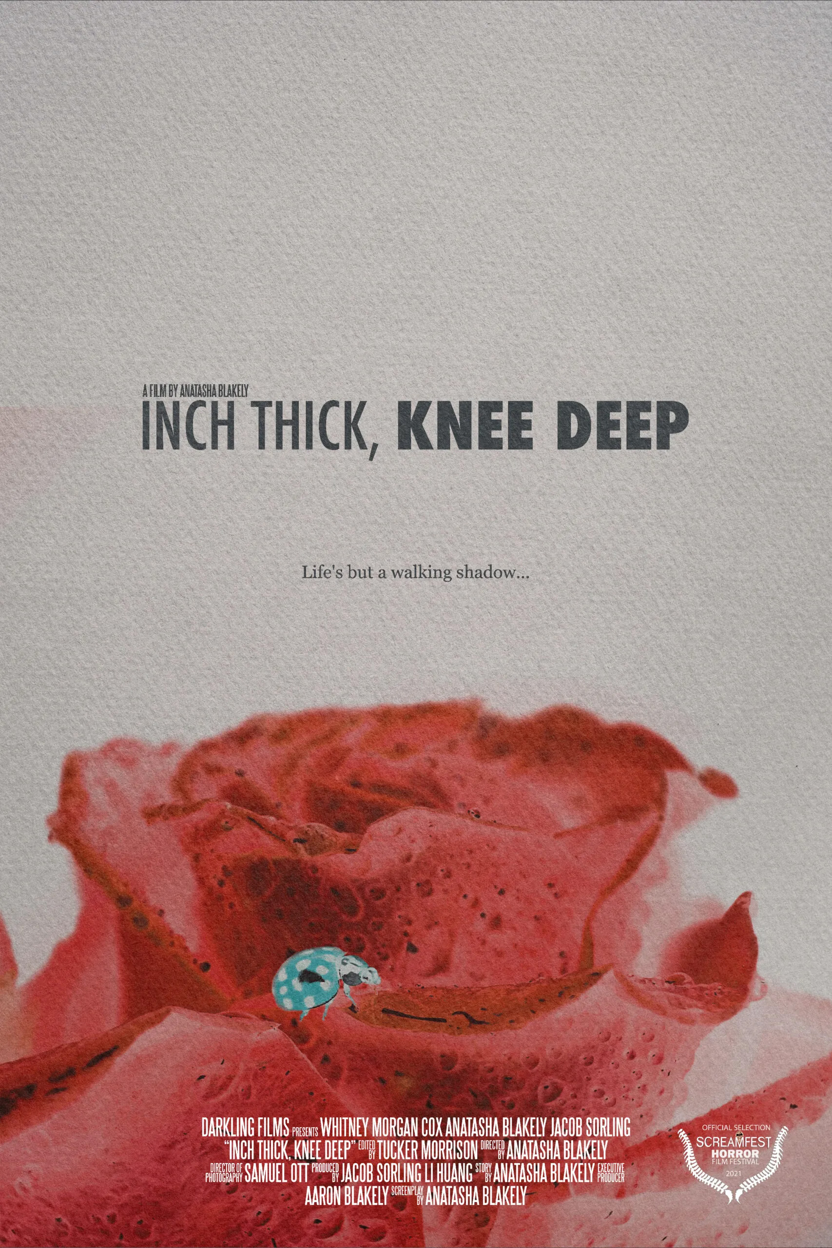 Inch Thick, Knee Deep